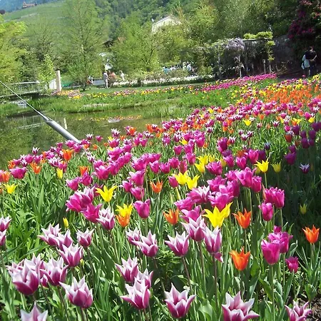 Farm stay Lindenhof Velden am Woerthersee